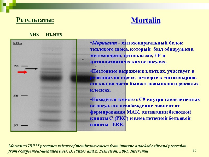 52 NHS HI-NHS Mortalin/GRP75 promotes release of membranevesicles from immune attacked cells and protection